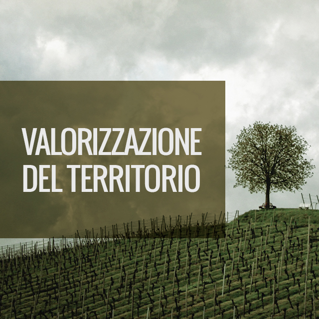 Valorizzazione Del Territorio Conform Scarl